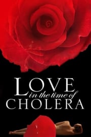 Kolera Günlerinde Aşk imdb puanı